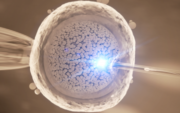cyprus-ivf-hospital-embriyo-donasyonu