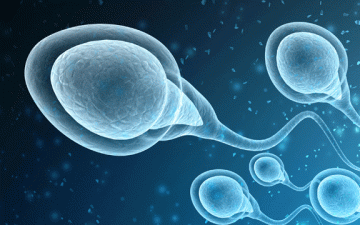 cyprus-ivf-hospital-sperm-donasyonu